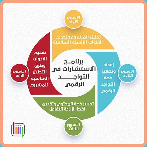 برنامج الاستشارات في التواجد الرقمي للمنشآت